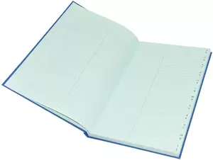 FIS Ledger Book, Azure Laid Ledger Paper, FS (210 x 330 mm) Size, 2 Quire - FSACLDC2Q73