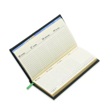 FIS 2023 Golden Slim Diary (English) Italian PU Hard Cover Green - FSDI57EG23GR