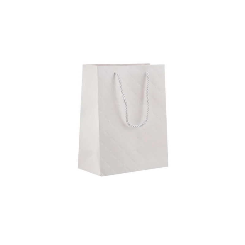 Gift Paper Bag(20x10x25 Cm)10 Pieces