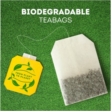 Lipton Green Tea Mint 100 Tea bags