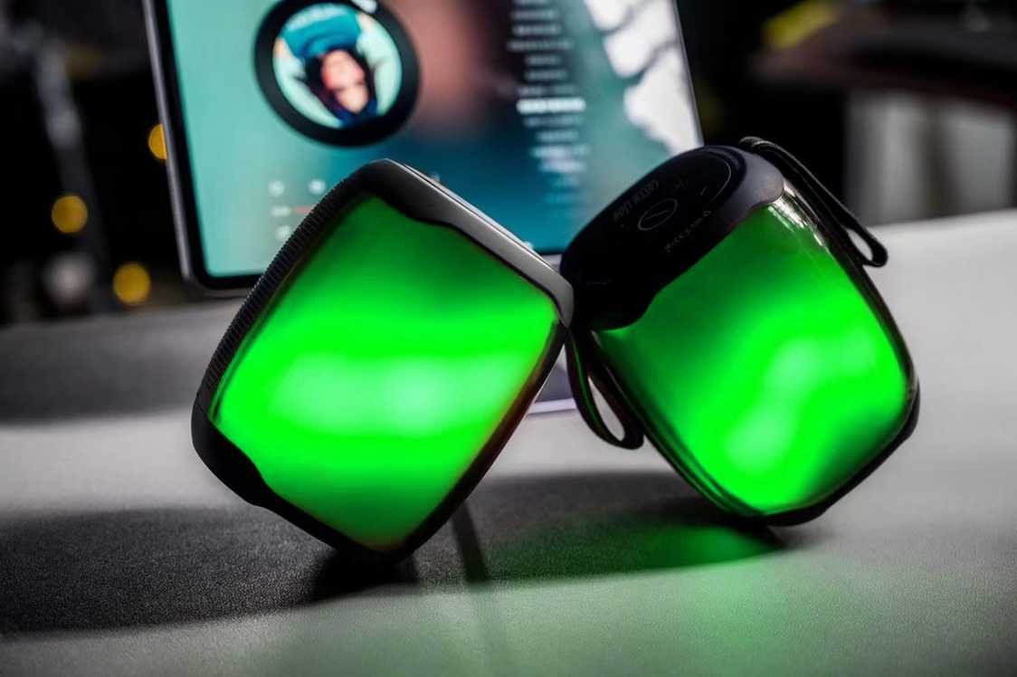 Green Lion Leve Portable Speaker - Black