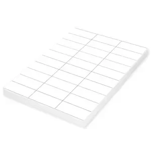 Agipa 100-Sheet Multipurpose Label White - APLA101117