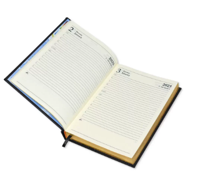 FIS Golden A5 Diary 2023 (English) Blue - FSDI26EG23BL