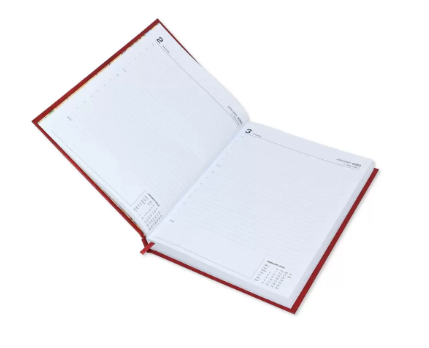 FIS Executive Diary 2023 (English) Bonded Leather, Cover Black - FSDI88EB23BK