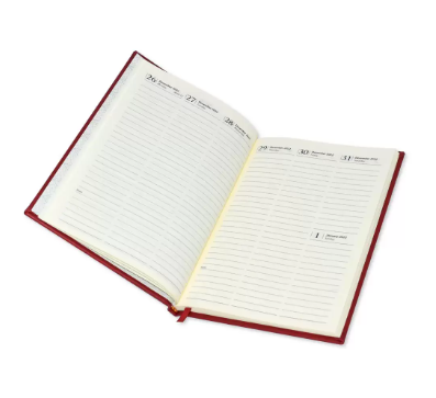 FIS Diary 2023 (English) A5, Black - FSDI84E23BK