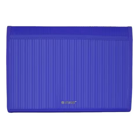 Maxi Expanding File With String A4 Size 13 Tab Blue
