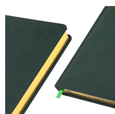 FIS Golden A5 Diary 2024 (Arabic/English) Green - FSDI19AEG24GR