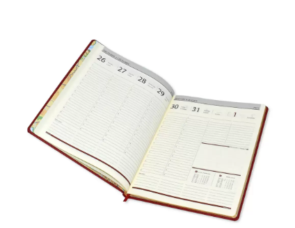 FIS Executive Daily Diary 2023 (English) Black - FSDI88E23BK