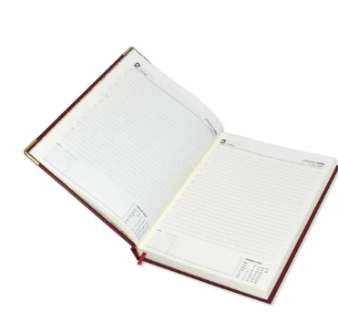 FIS Golden Executive Daily Diary 2023 (English) Black - FSDI88EG23BK