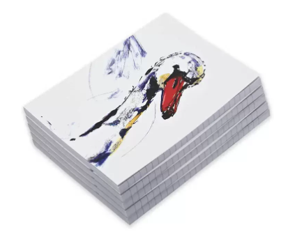 FIS Pack Of 5 Soft Cover Notebook, 96 Sheets A5 Swan Design 2 -FSNBSCA596-SWA2