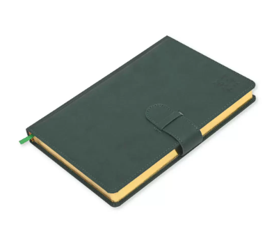 FIS Golden Agenda Diary 2024 (Arabic/English) Italian PU, 1-Side Padded, Gree - FSDI75AEPG24GR