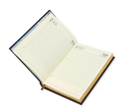 FIS Golden A5 Diary 2024 (English) Dark Brown - FSDI26EG24DBR
