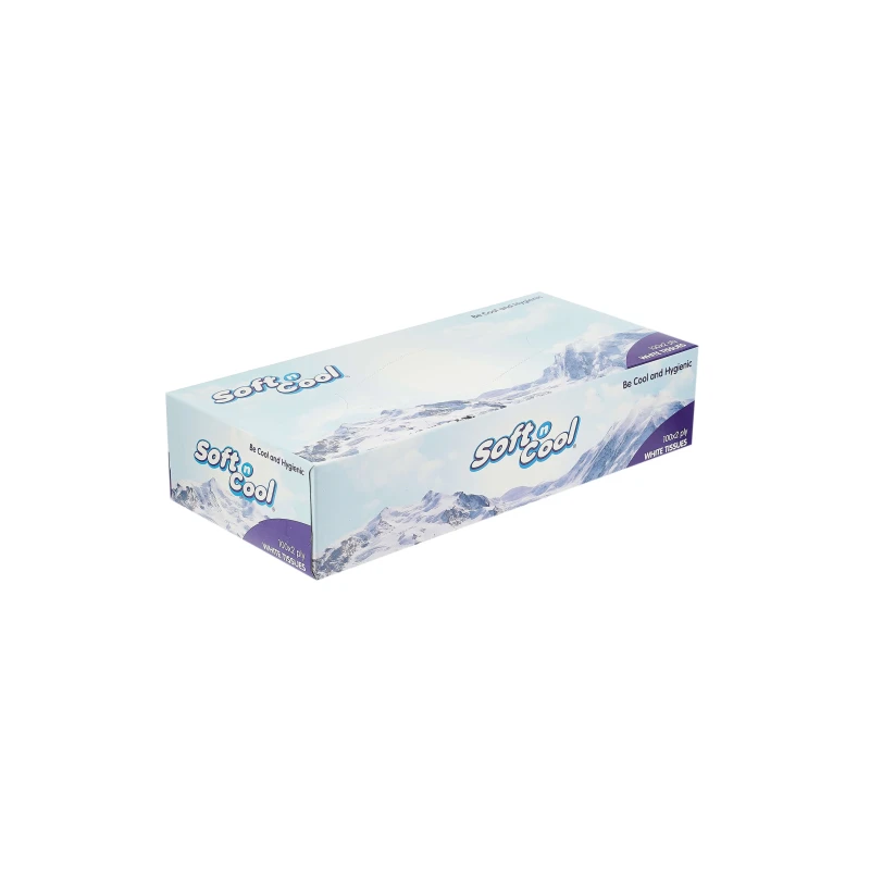 30 Boxes Soft n Cool Facial Tissue 100 Sheets x 2 ply