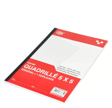 10-Piece FIS French Duplicate Books 5mm Square, Original with 1 Duplicate (50 Sets) A4 Size - FSDUA450F