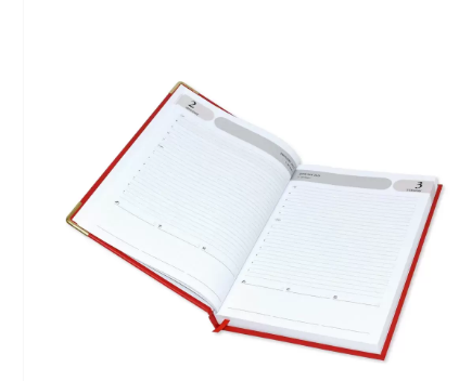 FIS Agenda Diary 2023 (English) 1-Side Padded, Gold Corners, Red - FSDI75EVG23RE