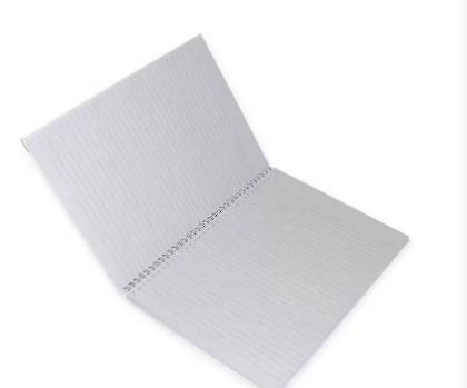 FIS Pack Of 5 Spiral Hard Cover Notebook, 96 Sheets A4 Panda Design 1 -FSNBSHCA496-PAN1