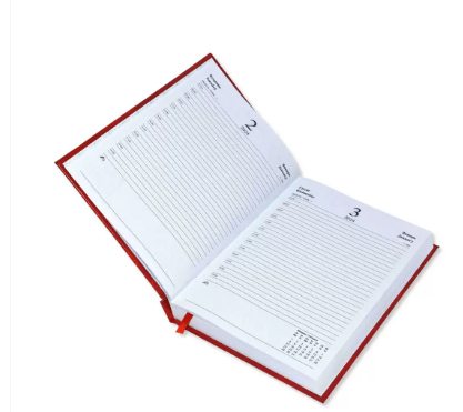 Fis 2024 Russian Diary (Russian/English), A5 Vinyl, 1 Side Padded, Red -FSDIRU0124RE