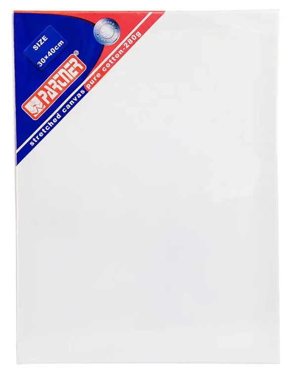 Partner A3 Stretched Cotton Canvas,15.8 x 11.6 x 0.7 Inch White