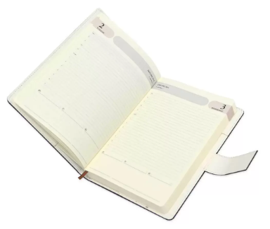 Fis 2024 Agenda Diary English With Gift Box -FSDI87E24D20N