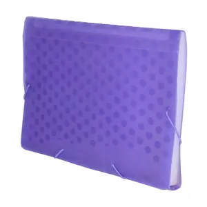 FIS Expanding Files 13 Pockets Purple Color, A4 (210 x 297 mm) Size - FSPG1302PU