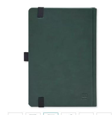 FIS Diary 2024 (Arabic/English) A5, Green - FSDI84AE24GR