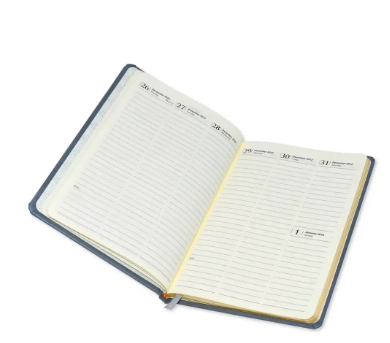 FIS 2023 Golden Diary A5 English Bonded Leather 1-Side Padded Maroon - FSDI78EGB23MR