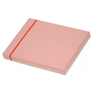 FISSticky Note Pad, 3X4 inches, Pack of 12, Pastel Pink 100 Sheets -FSPO34LPI
