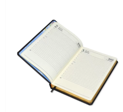 FIS Golden A5 Diary 2023 (English) Blue - FSDI19EG23BL