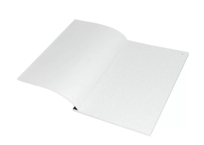 10-Piece FIS French Duplicate Books 5mm Square, Original with 1 Duplicate (50 Sets) A4 Size - FSDUA450F