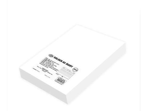 FIS Golden Diary 2023 (English) Brown, A5 - FSDI23EG23BR