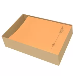 100-Piece FIS Square Cut Folders Without Fastener Orange Color, 250gsm A4 Size - FSFF9OR03