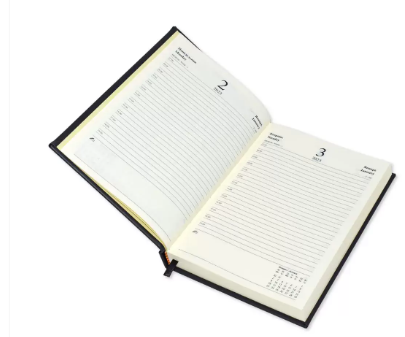 FIS A5 Diary 2023 (Russian/English) Black - FSDIRUP0121BK