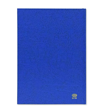 FIS Golden Executive Daily Diary 2024 (English) Blue - FSDI88EG24BL