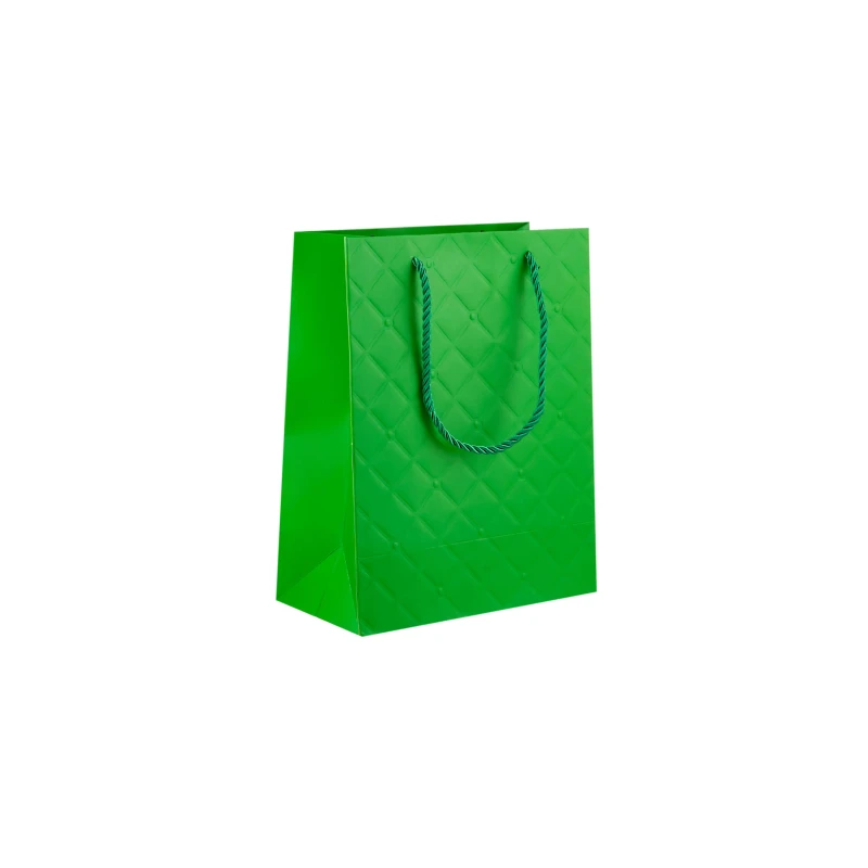 Gift Paper Bag(20x10x25 Cm)10 Pieces