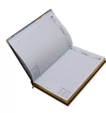 FIS Golden Executive Daily Diary 2023 (Arabic/English) Brown - FSDI88AEG23BR