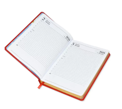 FIS Golden A5 Diary 2023 (English) Black - FSDI26EG23BK