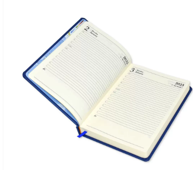 FIS A5 Diary 2023 (English) Brown - FSDI19E23BR