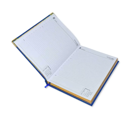 FIS Golden Executive Daily Diary 2024 (English) Blue - FSDI88EG24BL