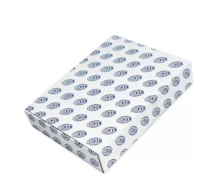 Pack of 15 Pieces Board Divider (Jan - Dec) English, Size A4 Multicolour