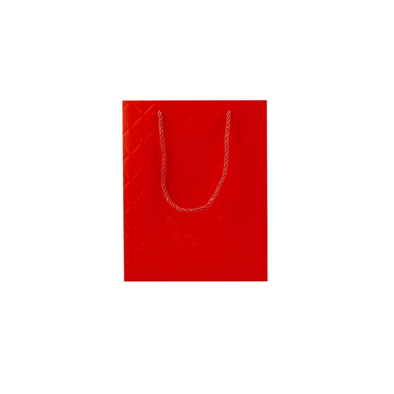 Gift Red Paper Bag 20x10x25Cm 10 Piece