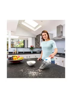 Cordless Dustbuster With Lithium Ion Battery