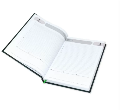 FIS Agenda Diary 2023 (English) Green - FSDI75EVN23GR