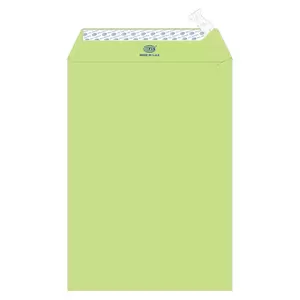 FIS Executive Laid Paper Envelopes Peel & Seal, Pack of 25 Pcs. Green Color, C4 (324 x 229 mm) Size, 100 GSM - FSEE1027PGRB25