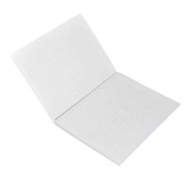 LIGHT Pack of 10, Spiral Soft Cover Notebook, Single Line, 100 Sheets -LINB971609S