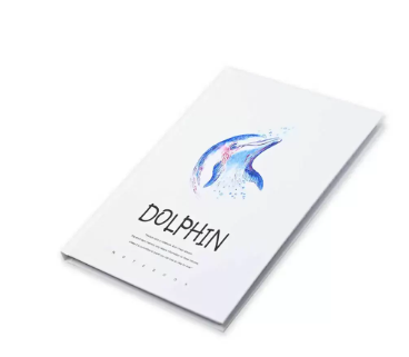 FIS Pack Of 5 Hard Cover Notebook, 96 Sheets A4 Dolphin Design 1 -FSNBHCA496-DOL1